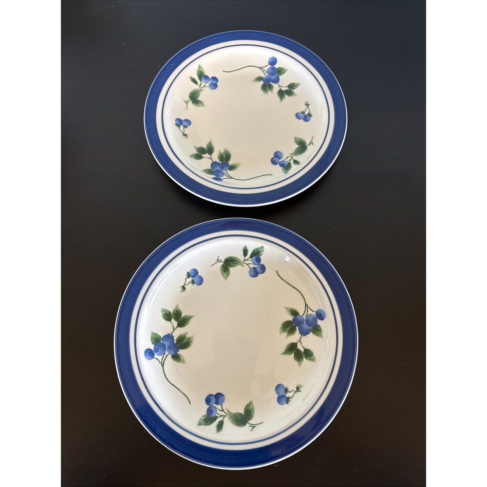 (2) LL Bean Retired Blueberry Salad Plates 8.5" Blue Rim Berry Pattern Stoneware